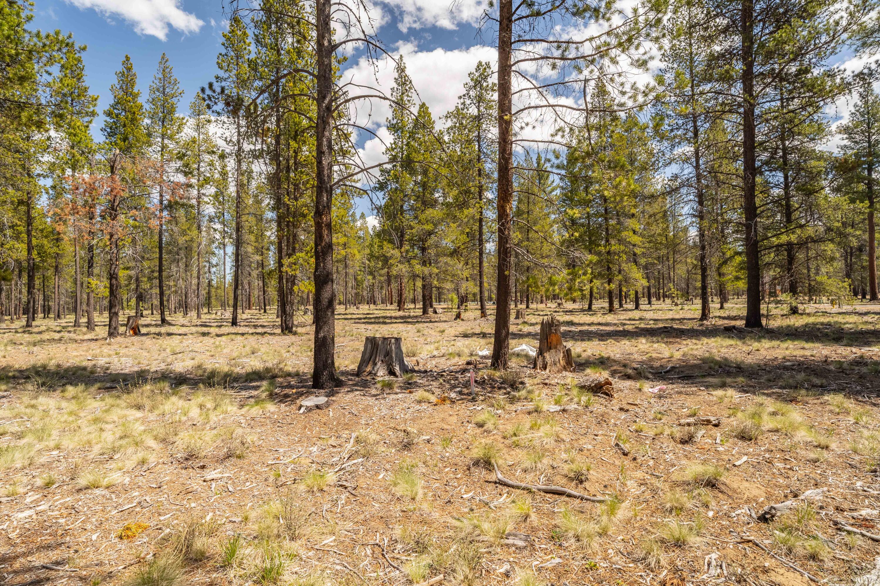 Preservation Loop Bend, Unit 460 Bend, OR 97707 - Photo 10 of 17 DSC02080-HDR