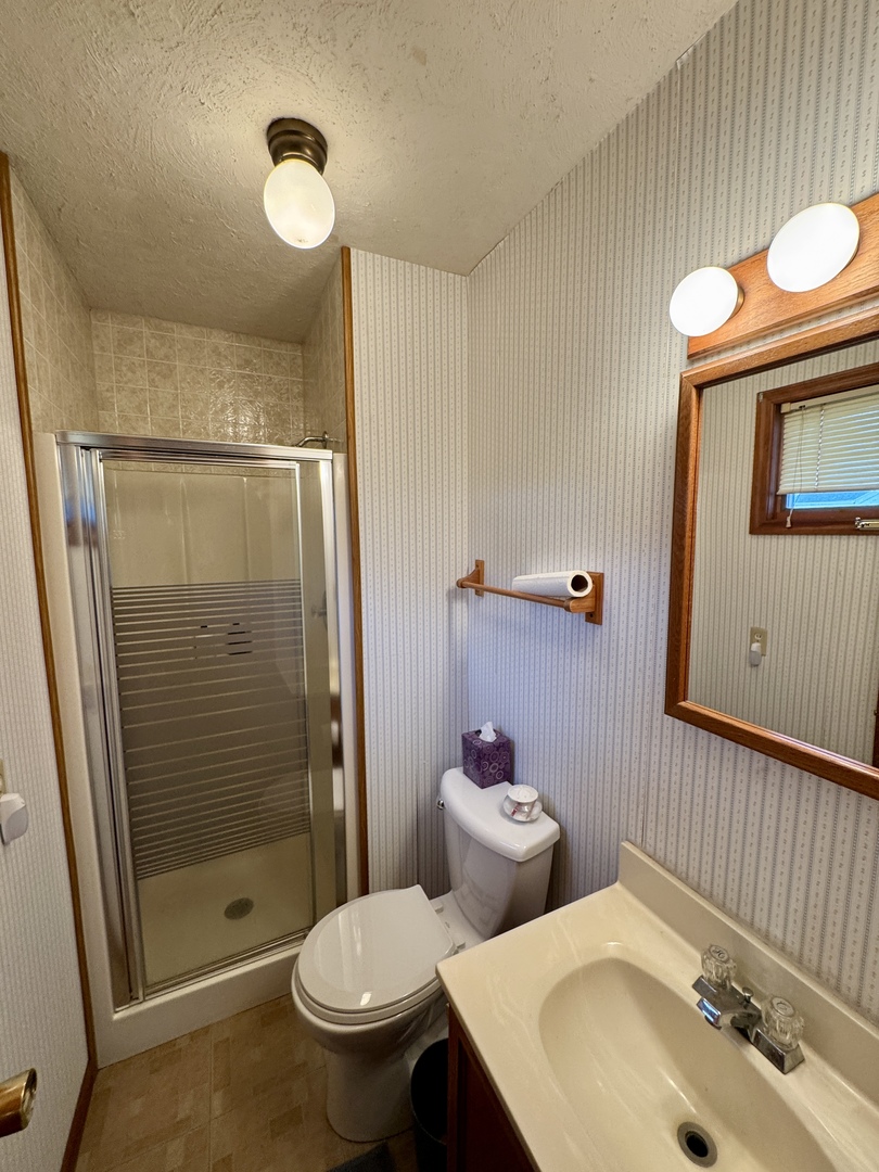 113 West 3rd Street Wyanet, IL 61379 - Photo 29 of 31 a bathroom with a sink toilet and shower