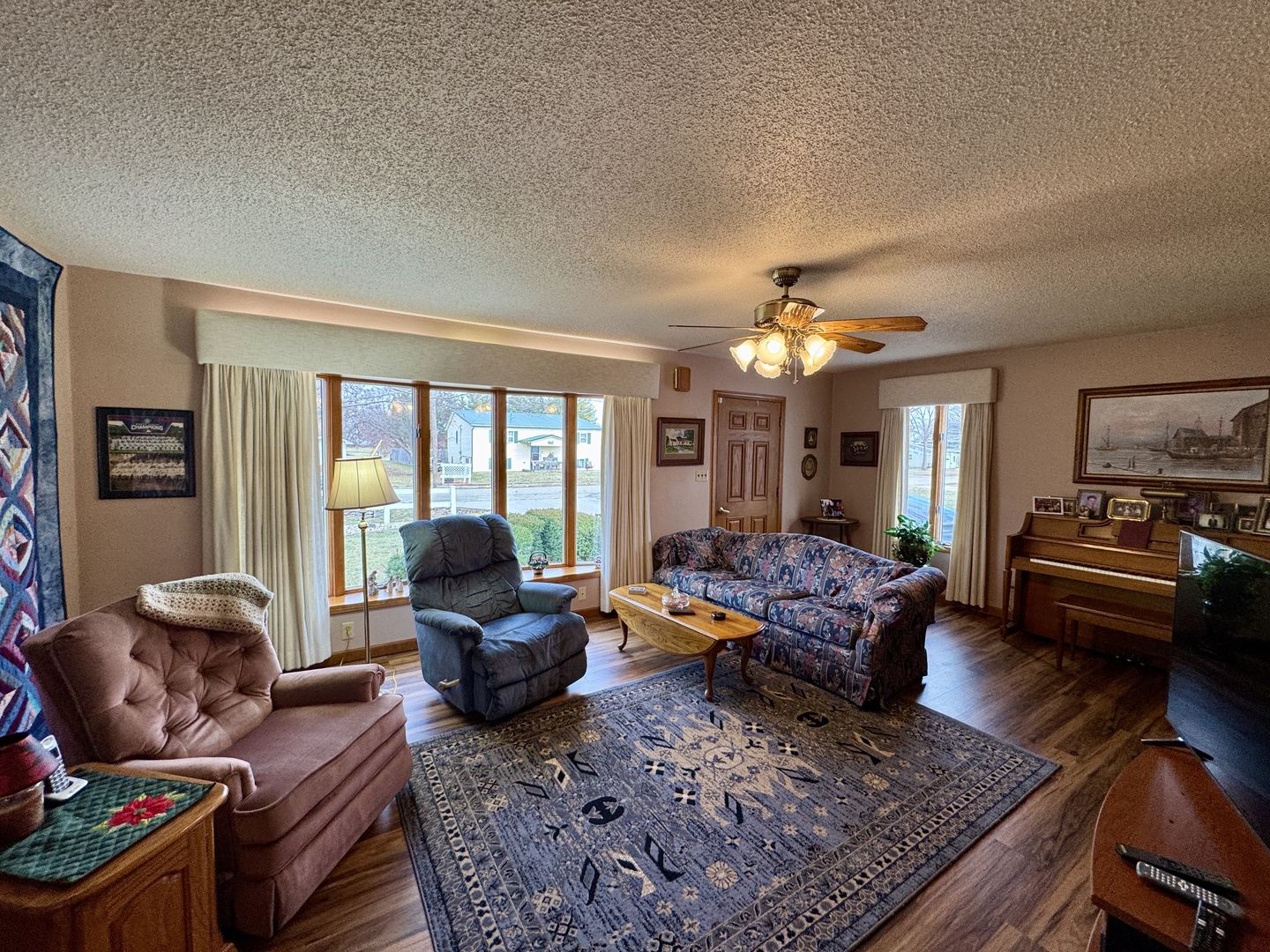 113 West 3rd Street Wyanet, IL 61379 - Photo 10 of 31 a living room with furniture hard wood floor and a rug