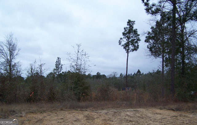 5-acres Lawson Road Lyons, GA 30436 - Photo 1 of 1 Main View