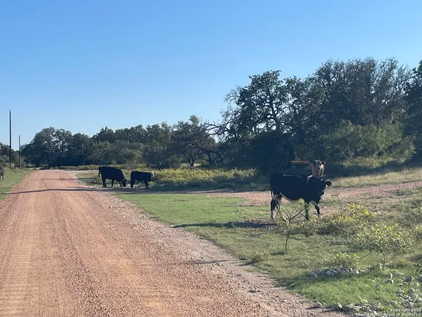 $189,000 | 3200 Elm Spgs Trail, Hext, TX 76848