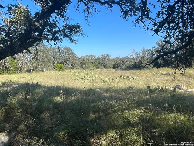 a view of a yard with large trees