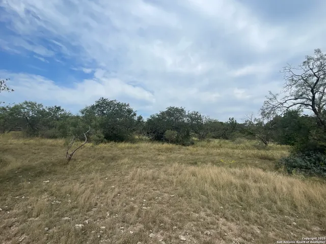 a view of outdoor space and green space