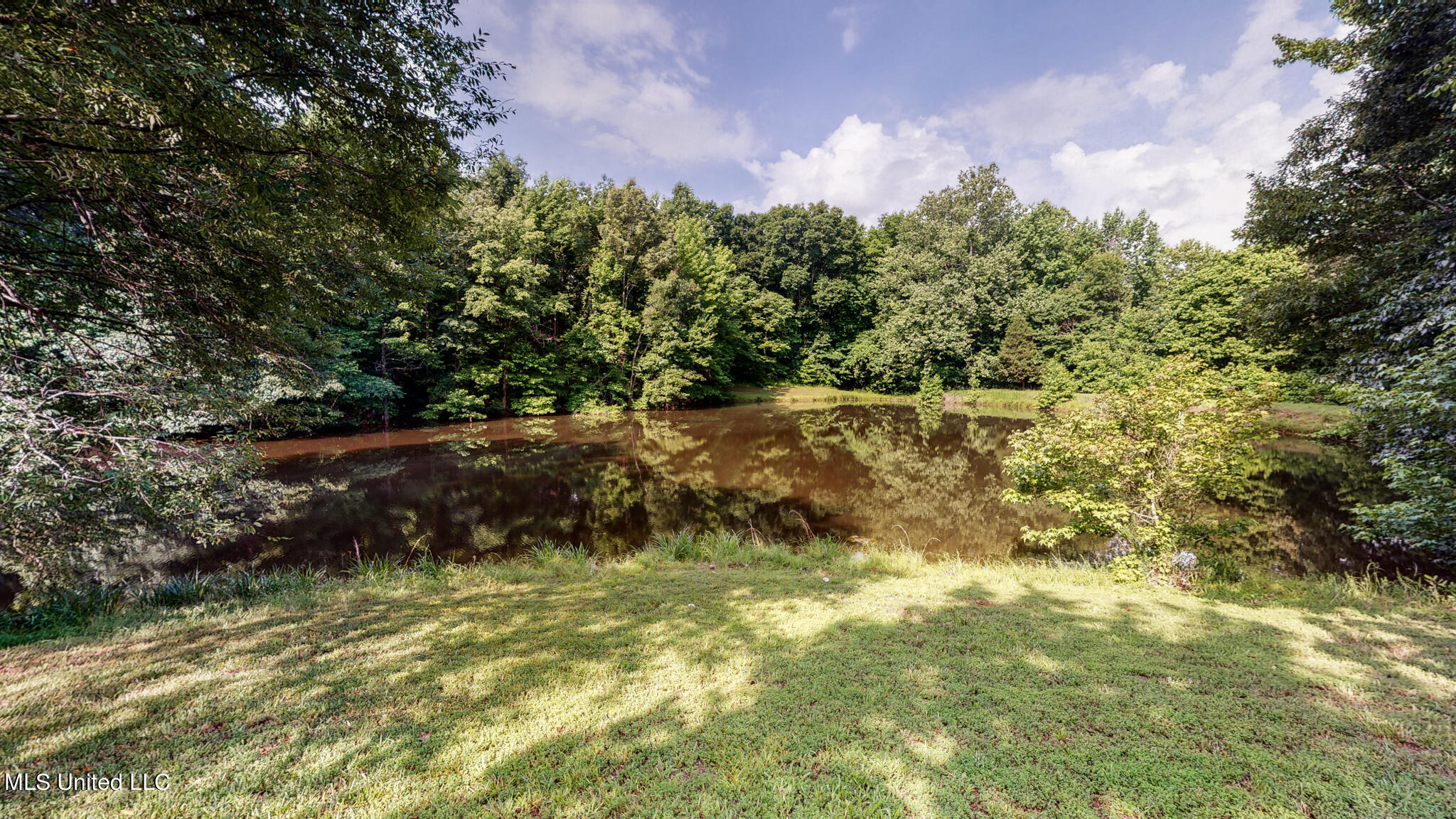 2337 Horn Lake Road Nesbit, MS 38651 - Photo 36 of 53 Pond