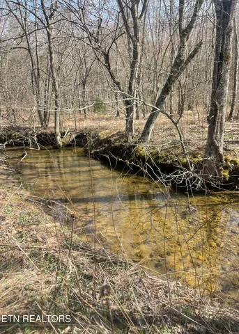 $294,000 | Tilley Road, Tellico Plains, TN 37385