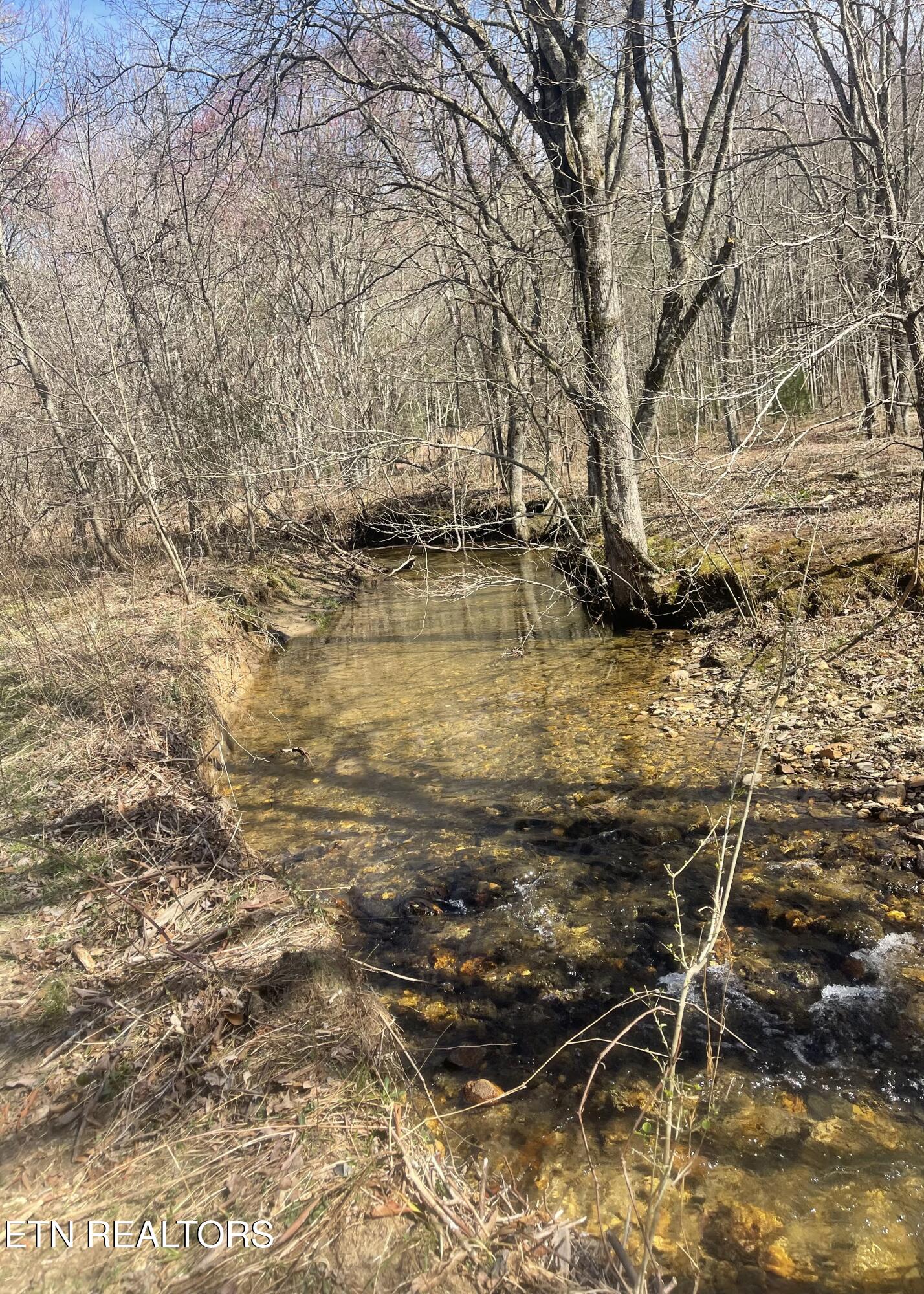 Tilley Road Tellico Plains, TN 37385 - Photo 4 of 9 IMG_0422