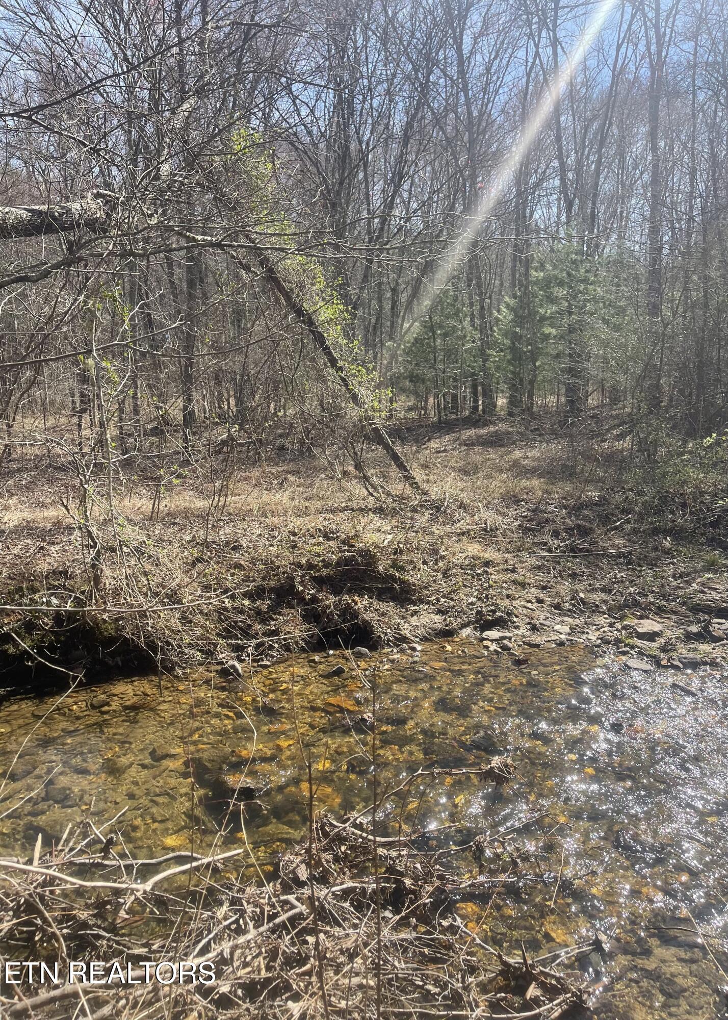 Tilley Road Tellico Plains, TN 37385 - Photo 5 of 9 IMG_0421