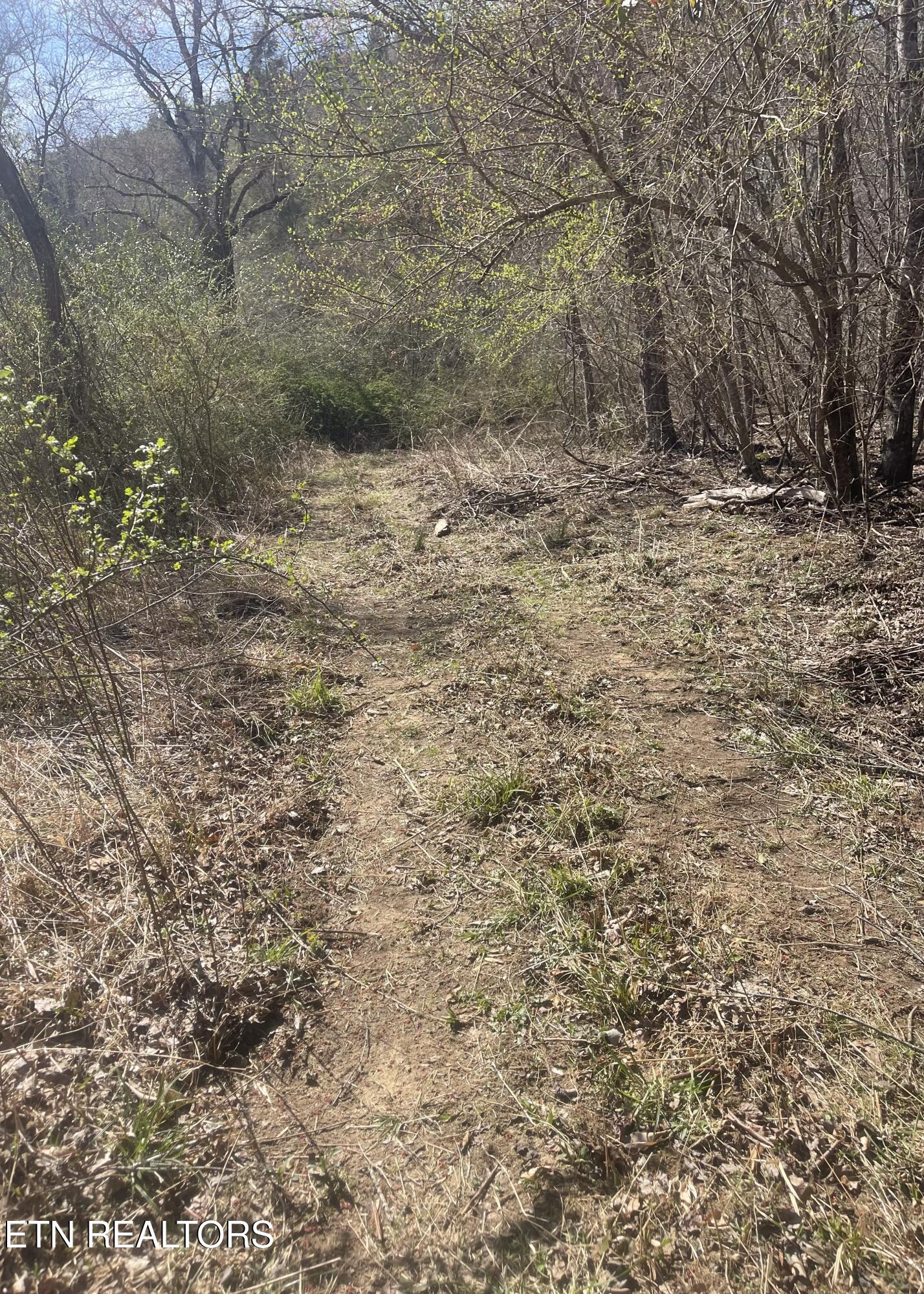 Tilley Road Tellico Plains, TN 37385 - Photo 6 of 9 IMG_0420