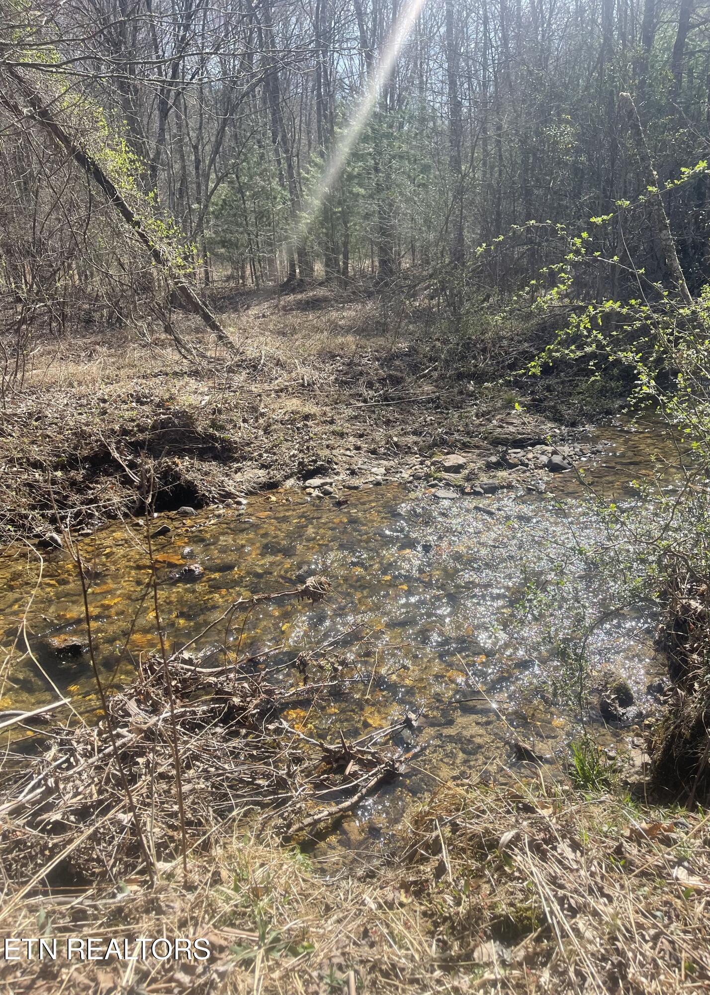 Tilley Road Tellico Plains, TN 37385 - Photo 7 of 9 IMG_0419