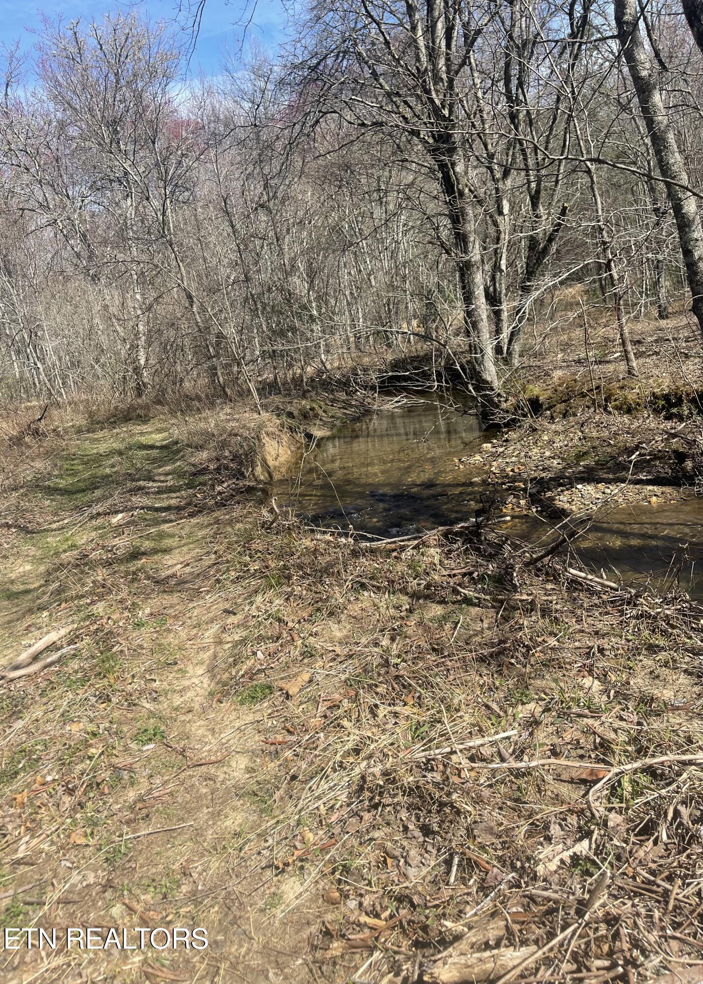 Tilley Road Tellico Plains, TN 37385 - Photo 8 of 9 IMG_0418