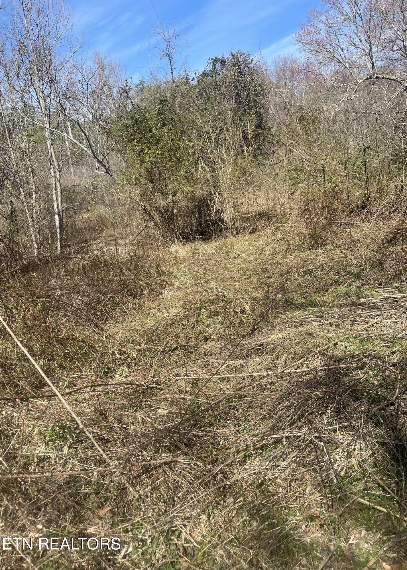 Tilley Road Tellico Plains, TN 37385 - Photo 9 of 9 IMG_0423