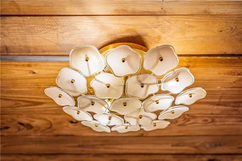 a view of a patio with couple of chairs and potted plants