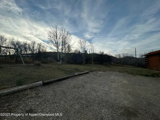 a view of a dry yard with trees
