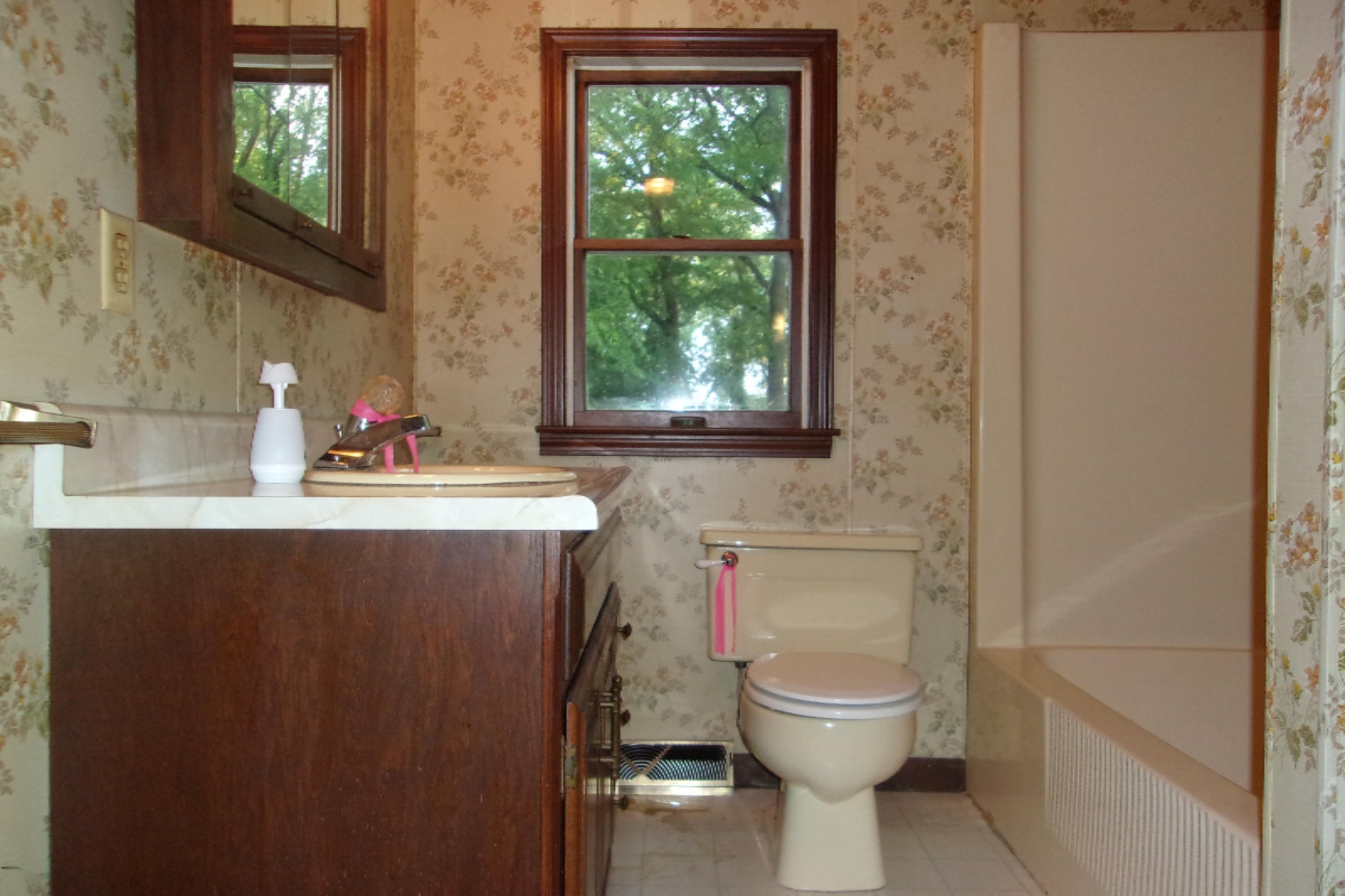 1228 Marsh Road Plainwell, MI 49080 - Photo 13 of 28 219_3161