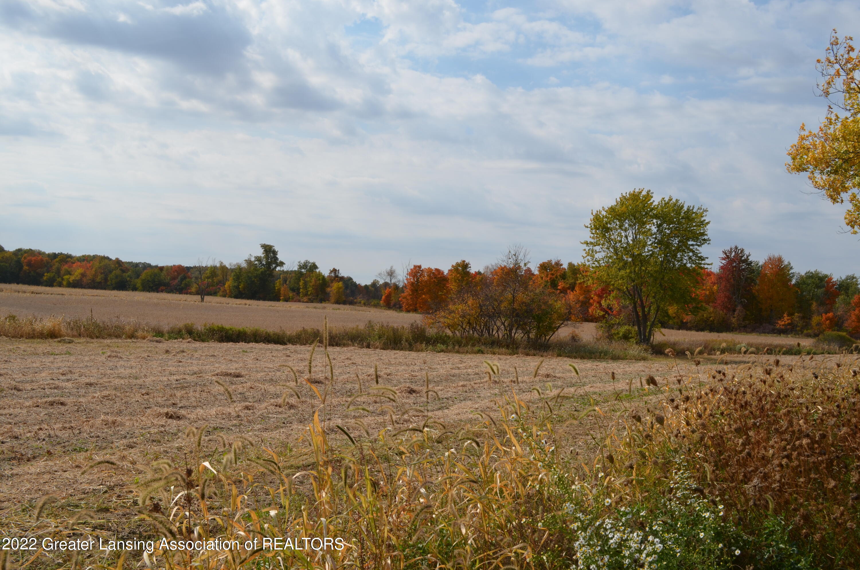 12651 Camden Road Waldron, MI 49288 - Photo 28 of 54 DSC_0570