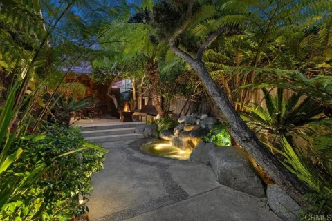 a view of a yard with plants and trees