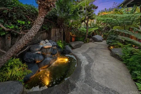 a view of a plant in a garden