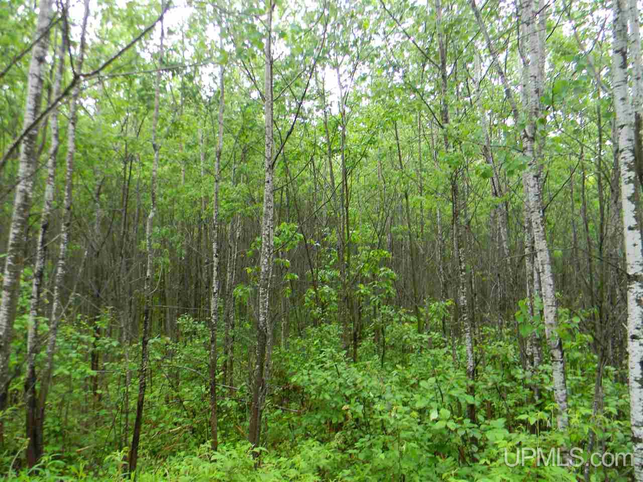 Tbd Off Sawyer Lake Road, Unit NESE Channing, MI 49815 - Photo 2 of 6