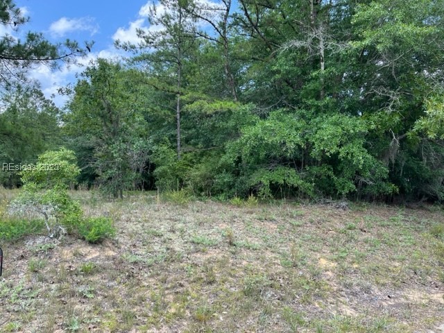 0 Stokes Bluff Road Garnett, SC 29922 - Photo 1 of 1 Gallery Image 1