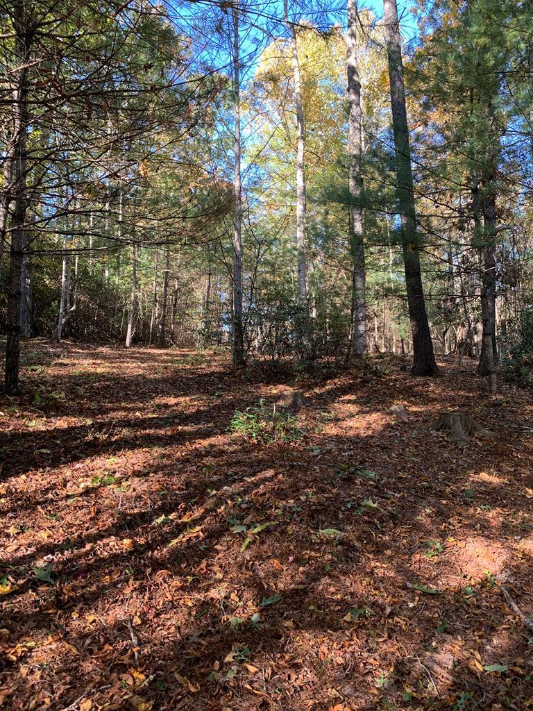 14 Ridge Line Trail, Unit 14 Independence, VA 24348 - Photo 1 of 5 Gallery Image 1