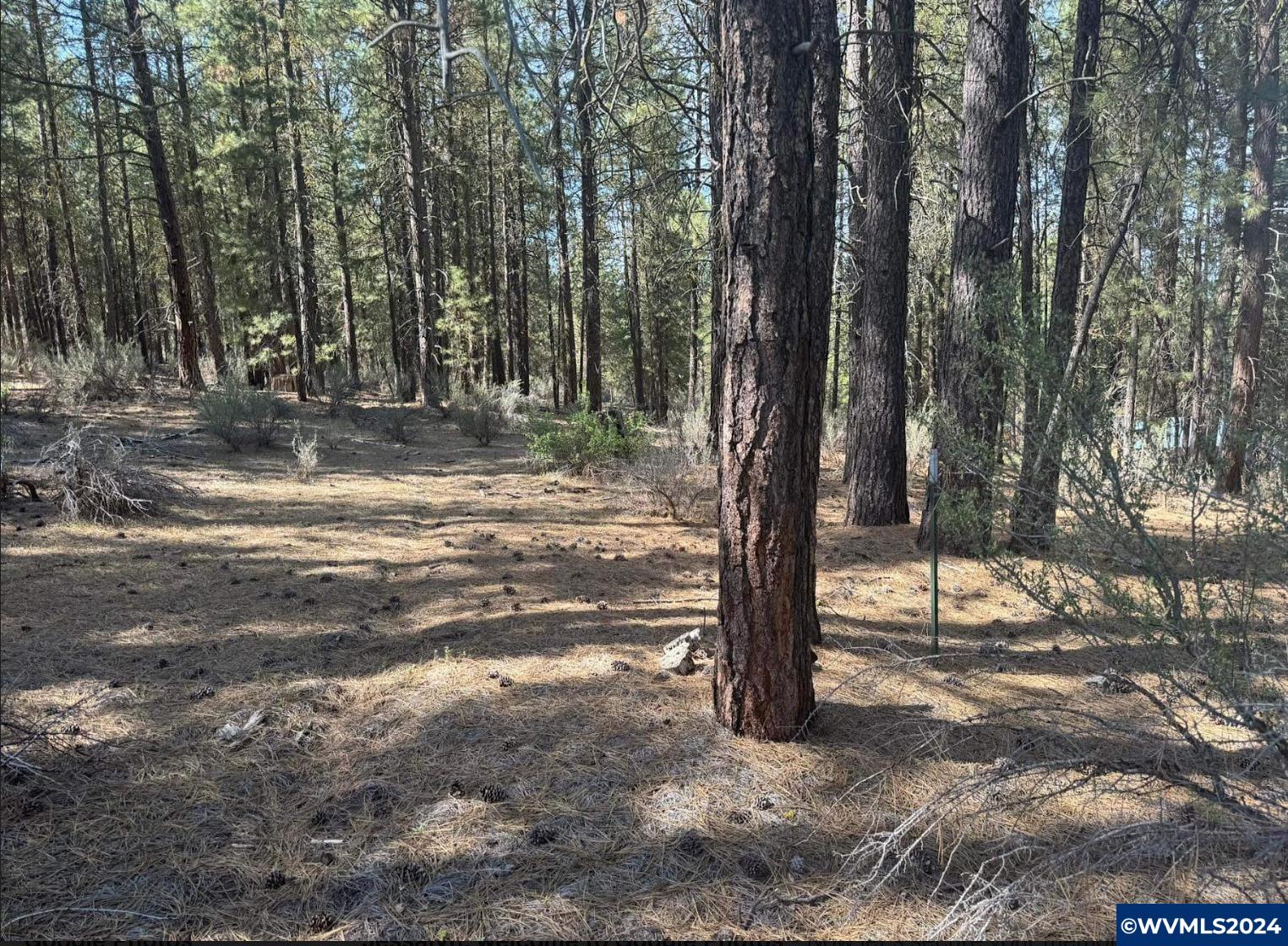 Lot 3 North Waterview Way Chiloquin, OR 97624 - Photo 8 of 8
