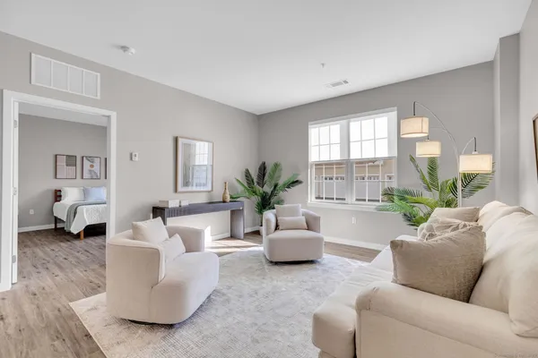 a living room with furniture and a potted plant