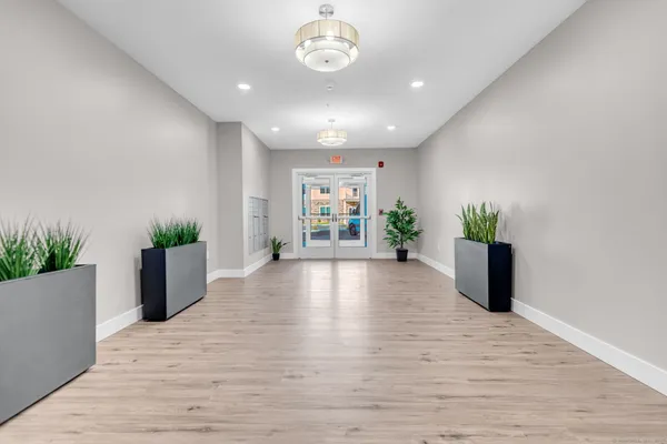 a view of an empty room with a potted plant