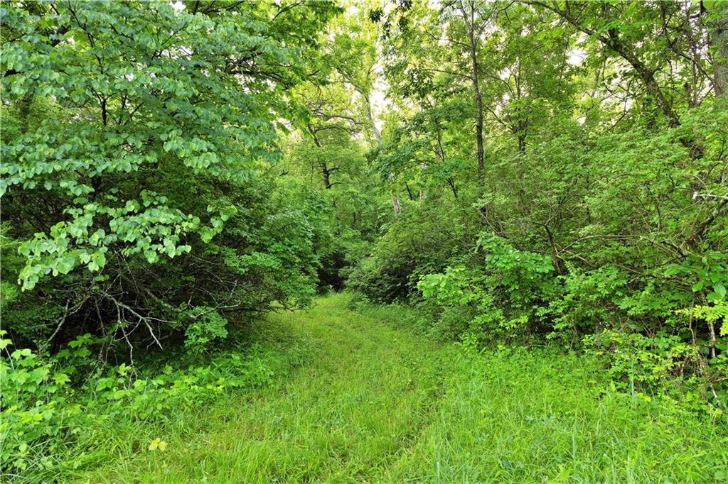 Wilderness Camp Road Lawson, MO 64062 - Photo 22 of 90