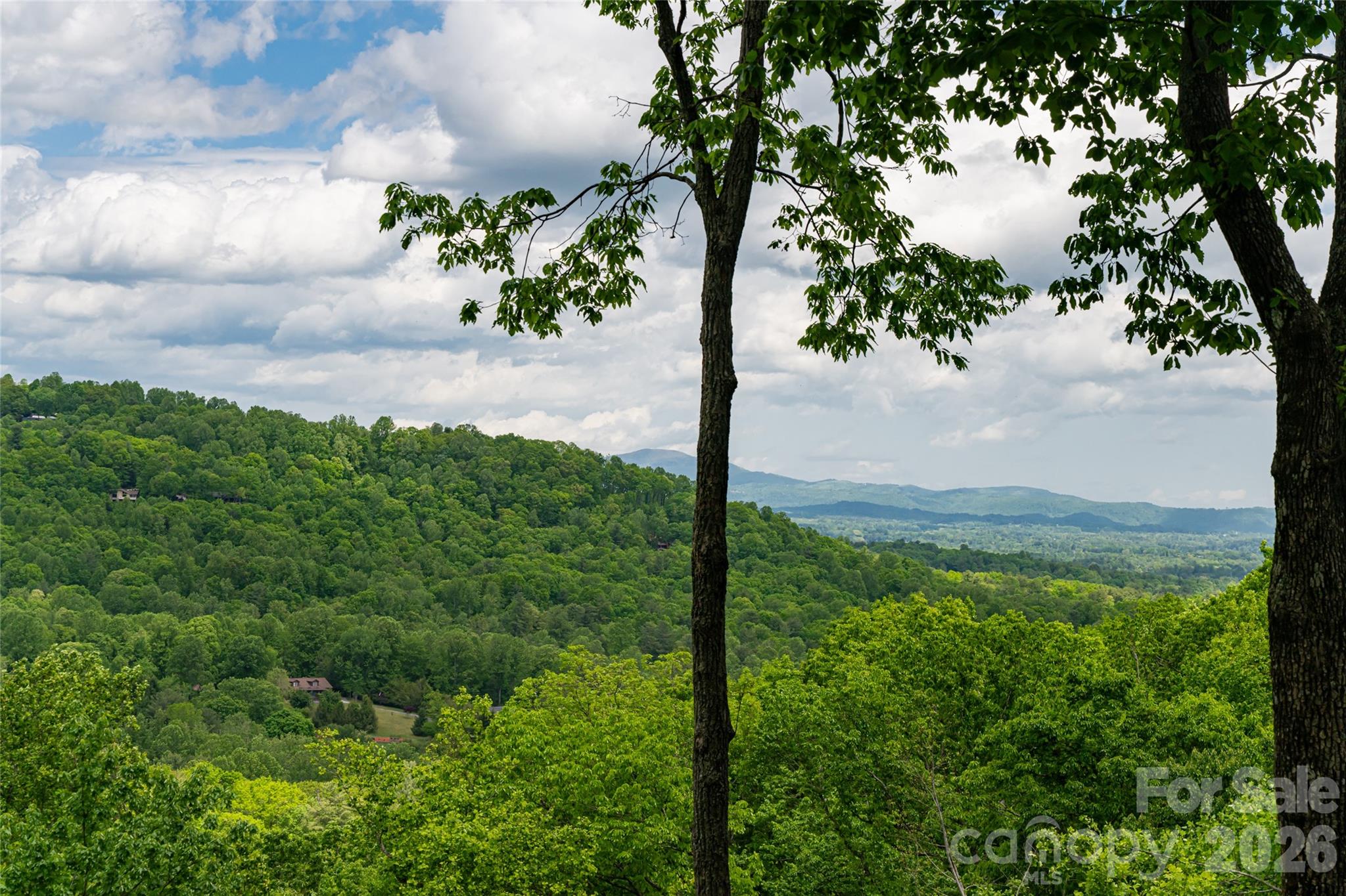 12 Spring Ridge Lane Hendersonville, NC 28739 - Photo 39 of 45 Gallery Image 39