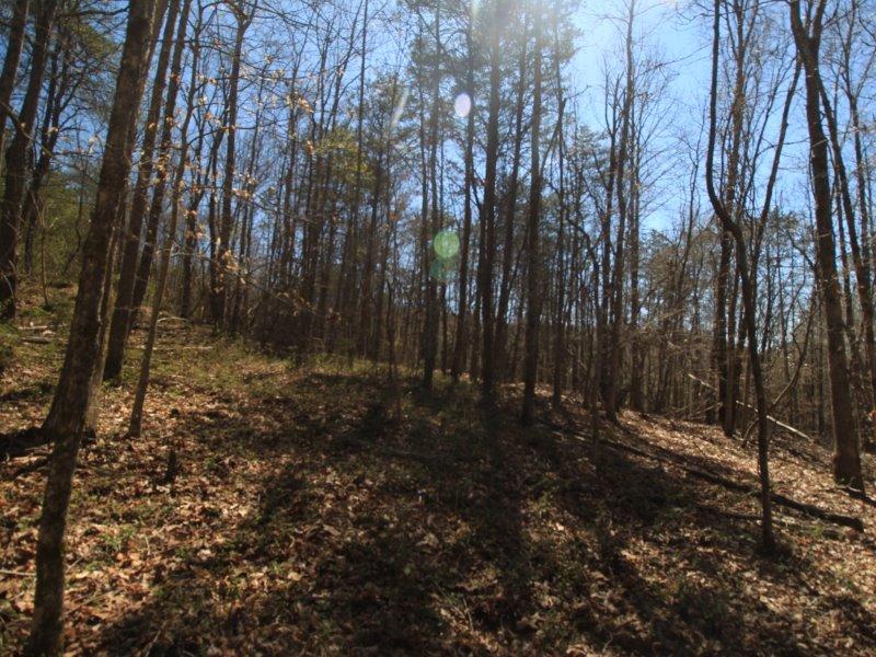 1 Belltown Road Tellico Plains, TN 37385 - Photo 14 of 19 IMG_9479