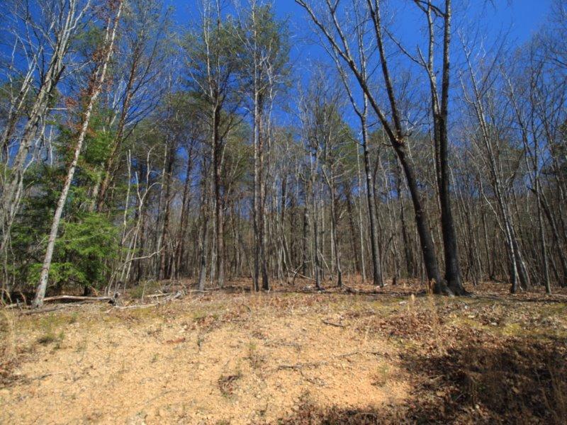 1 Belltown Road Tellico Plains, TN 37385 - Photo 3 of 19 IMG_9474