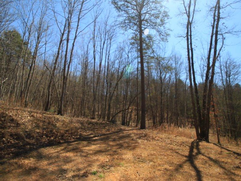 1 Belltown Road Tellico Plains, TN 37385 - Photo 4 of 19 IMG_9476