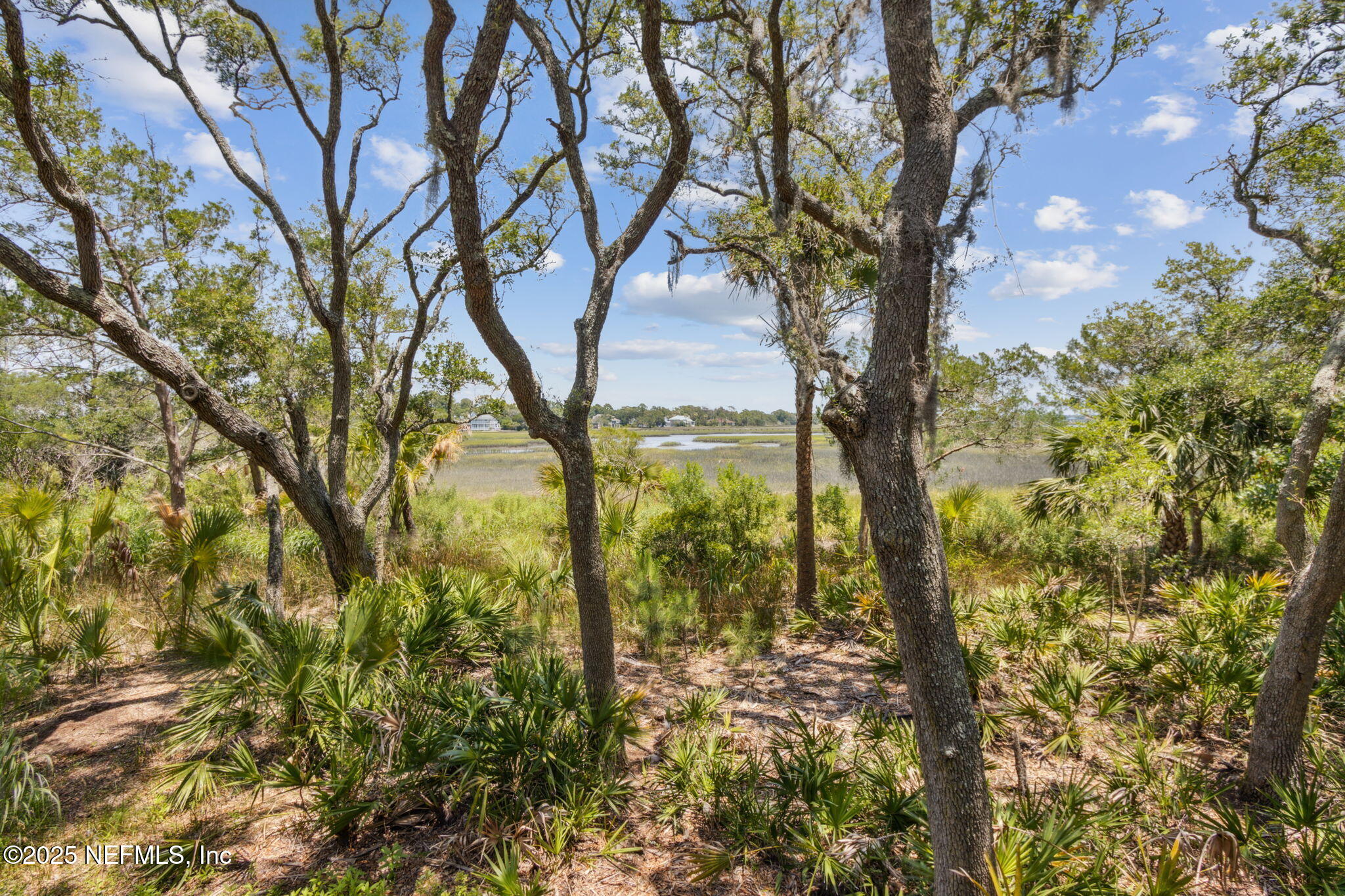 95024 Shell Midden Lane Fernandina Beach, FL 32034 - Photo 73 of 76 in this natural paradise