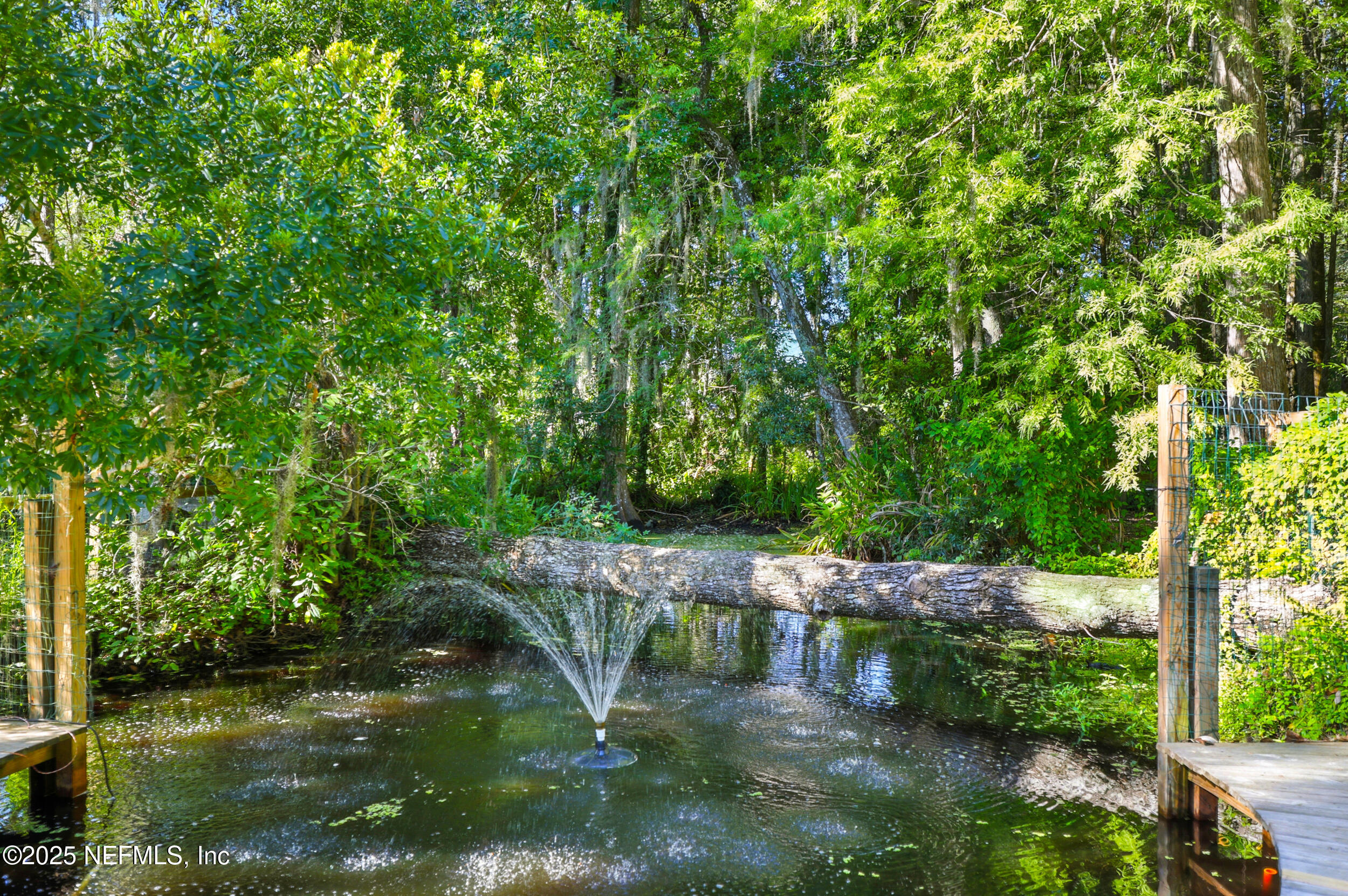 12534 Flynn Road Jacksonville, FL 32223 - Photo 59 of 90 a backyard of a house with lots of green space