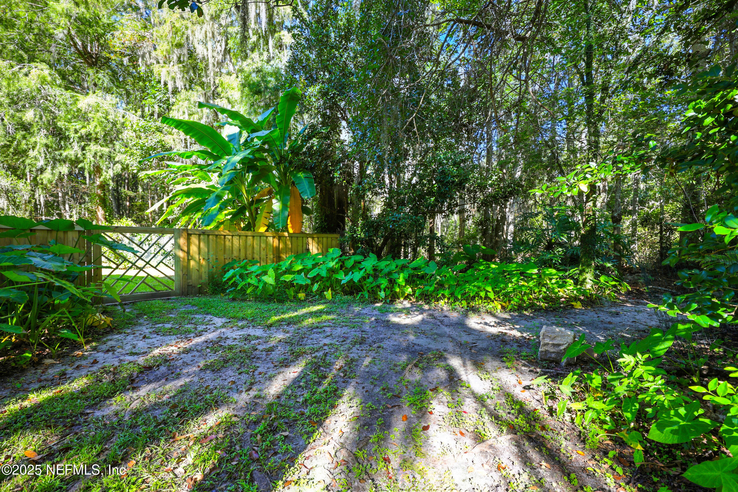 12534 Flynn Road Jacksonville, FL 32223 - Photo 65 of 90 a big yard with flowing stream of water in middle