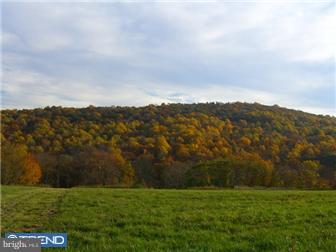829 Church Road, Unit LOT #2 Reading, PA 19607 - Photo 2 of 10