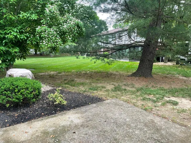 a view of a park with large trees