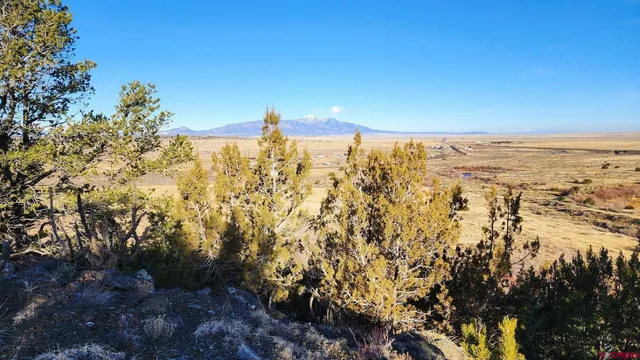 a view of a city with lots of trees