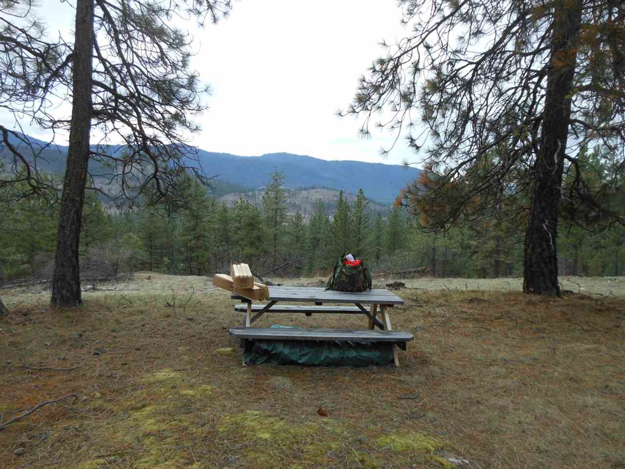 786-tbd Arden Butte Road Colville, WA 99114 - Photo 2 of 18 Gallery Image 2