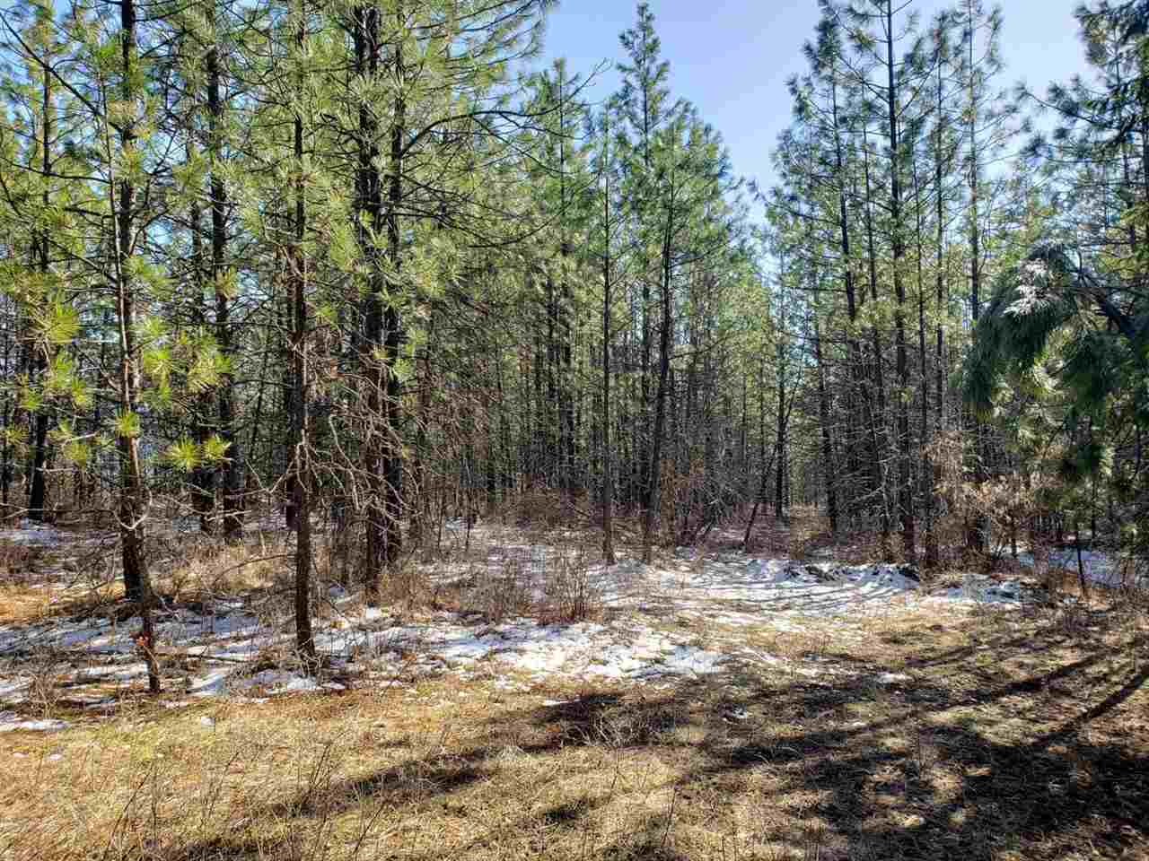 786-tbd Arden Butte Road Colville, WA 99114 - Photo 12 of 18 Gallery Image 12