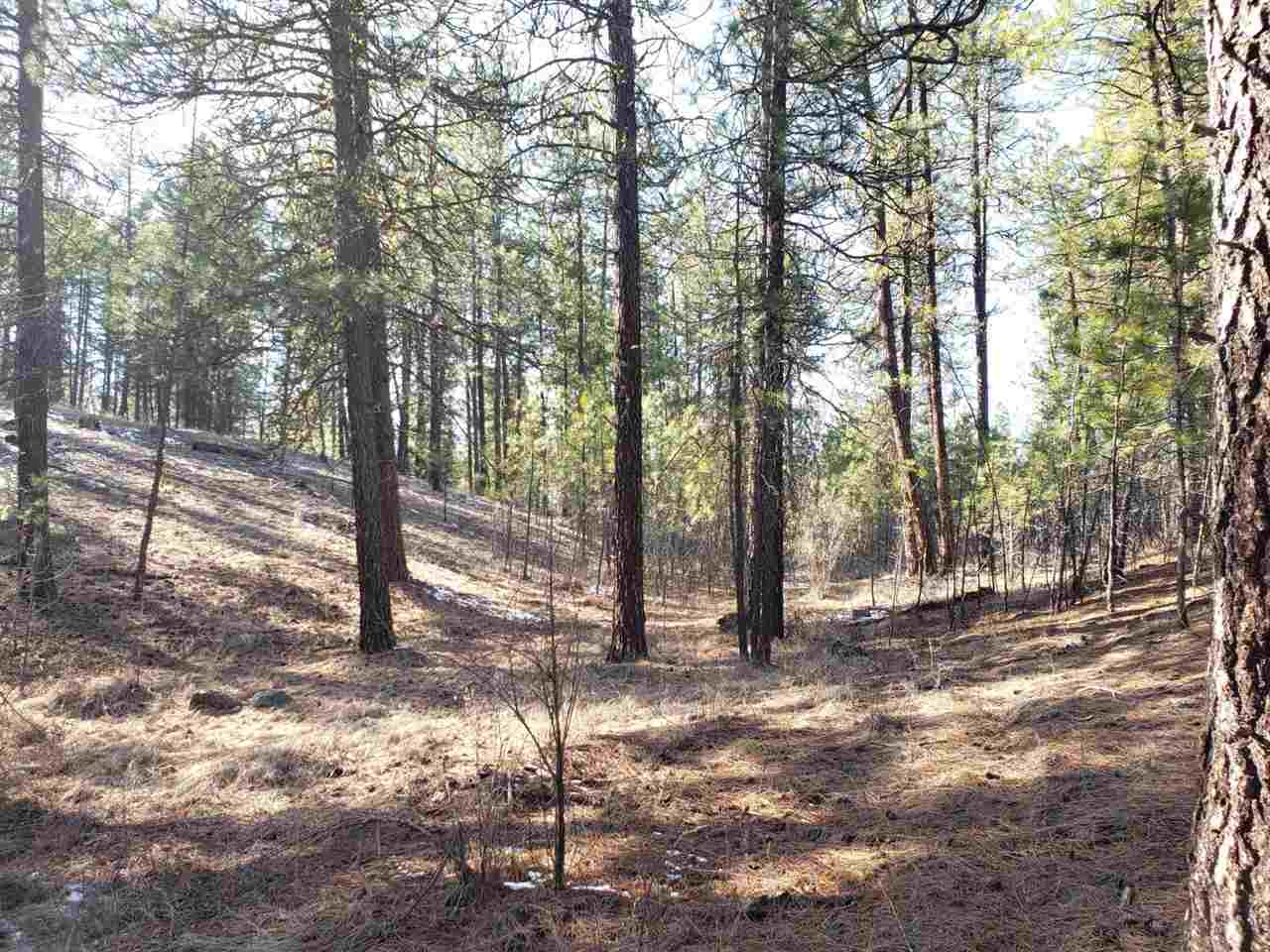 786-tbd Arden Butte Road Colville, WA 99114 - Photo 14 of 18 Gallery Image 14