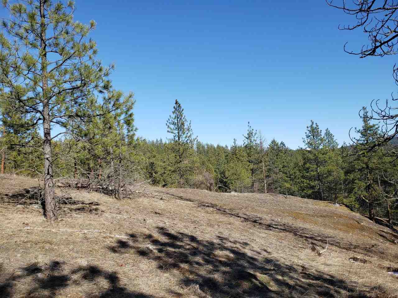 786-tbd Arden Butte Road Colville, WA 99114 - Photo 15 of 18 Gallery Image 15