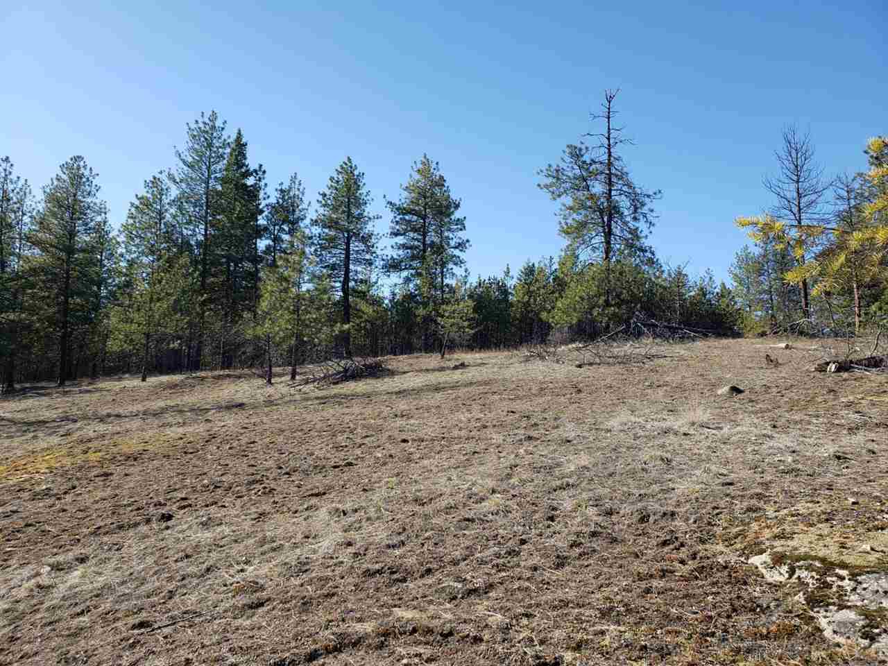 786-tbd Arden Butte Road Colville, WA 99114 - Photo 16 of 18 Gallery Image 16