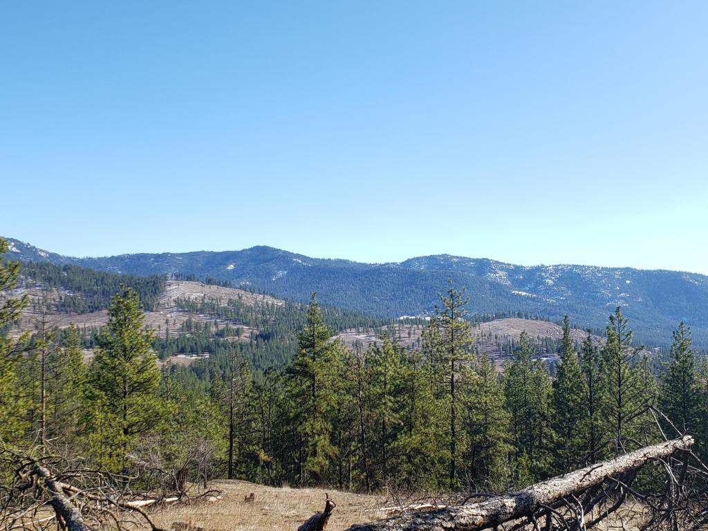 786-tbd Arden Butte Road Colville, WA 99114 - Photo 17 of 18 Gallery Image 17
