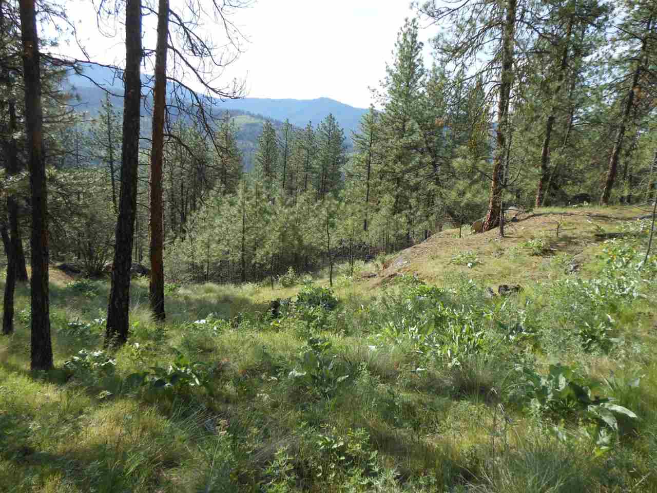 786-tbd Arden Butte Road Colville, WA 99114 - Photo 7 of 18 Gallery Image 7