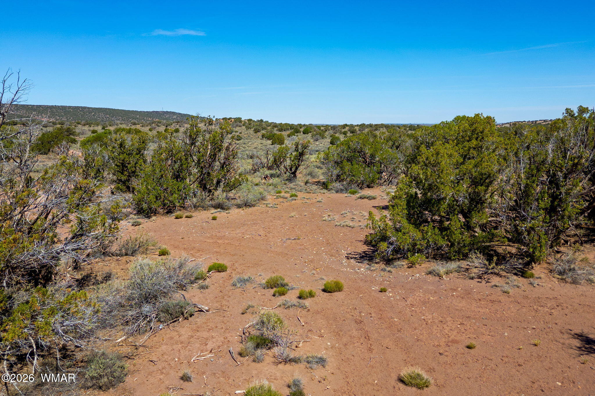 4322 Juniper Road Snowflake, AZ 85937 - Photo 13 of 19 a view of a dry field with mountains in the background