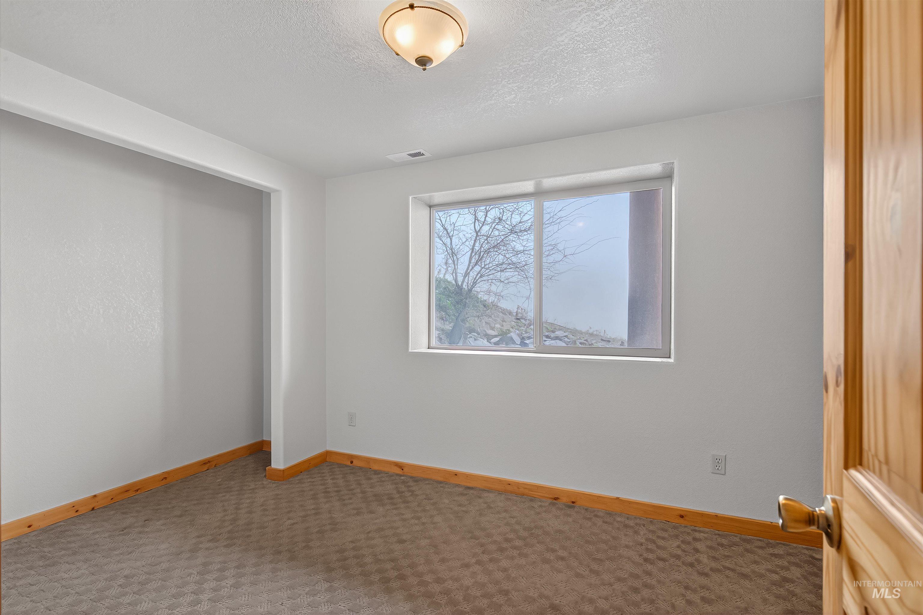915 Doumecq Road White Bird, ID 83554 - Photo 42 of 49 Unfurnished bedroom with light carpet, a closet, and a textured ceiling