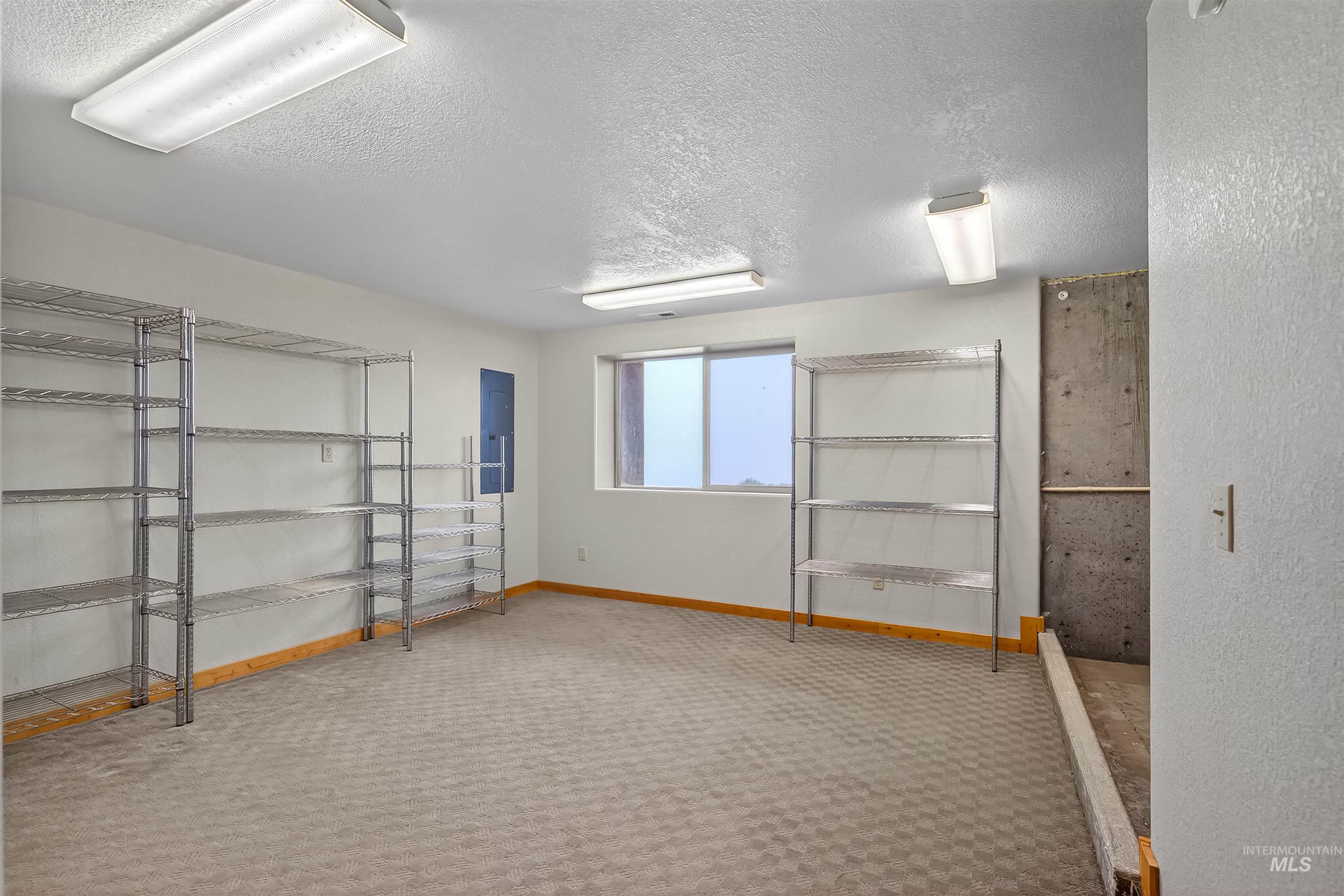 915 Doumecq Road White Bird, ID 83554 - Photo 44 of 49 Below grade area featuring a textured ceiling, light colored carpet, electric panel, and a textured wall