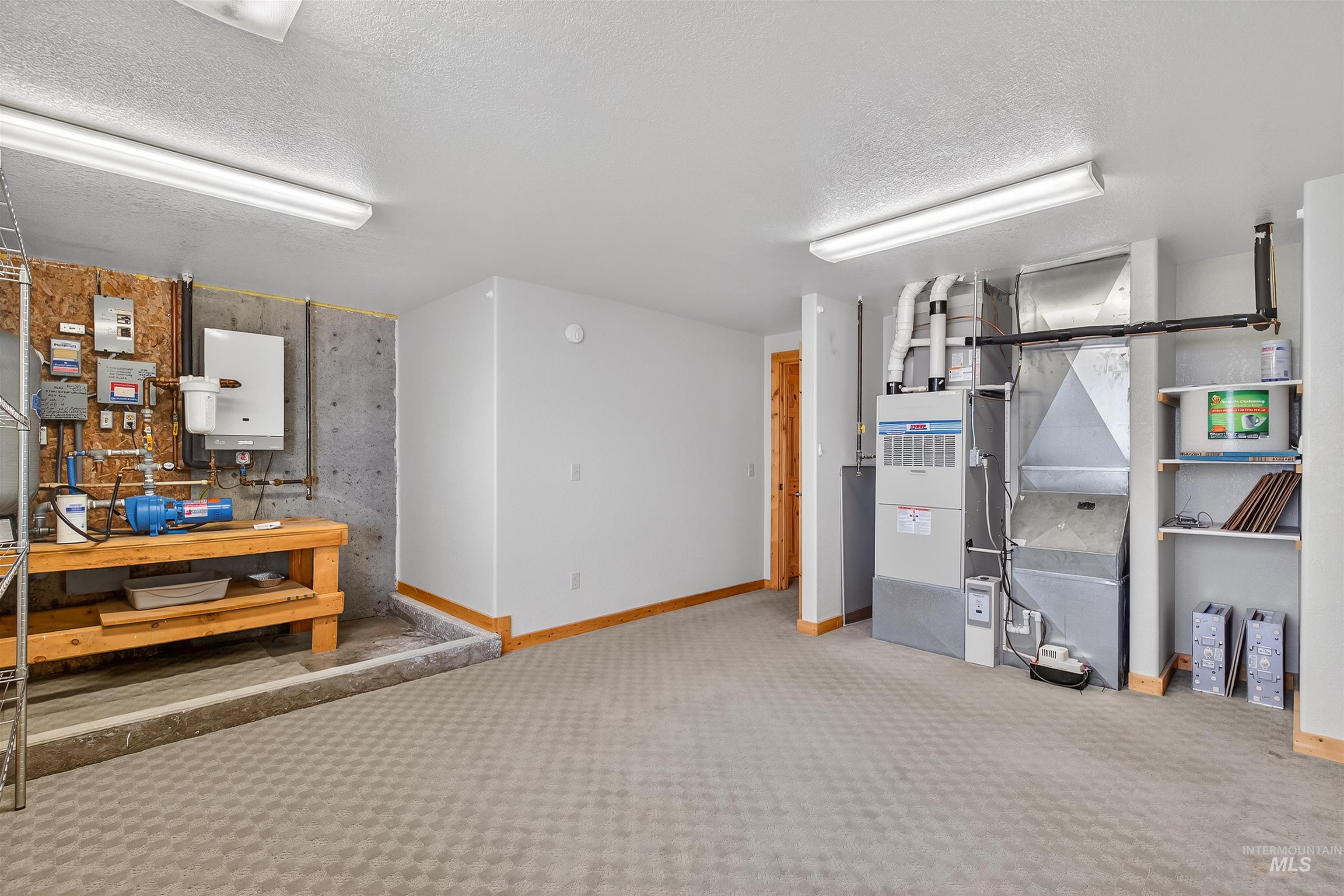 915 Doumecq Road White Bird, ID 83554 - Photo 45 of 49 Below grade area with light carpet, heating unit, and a textured ceiling