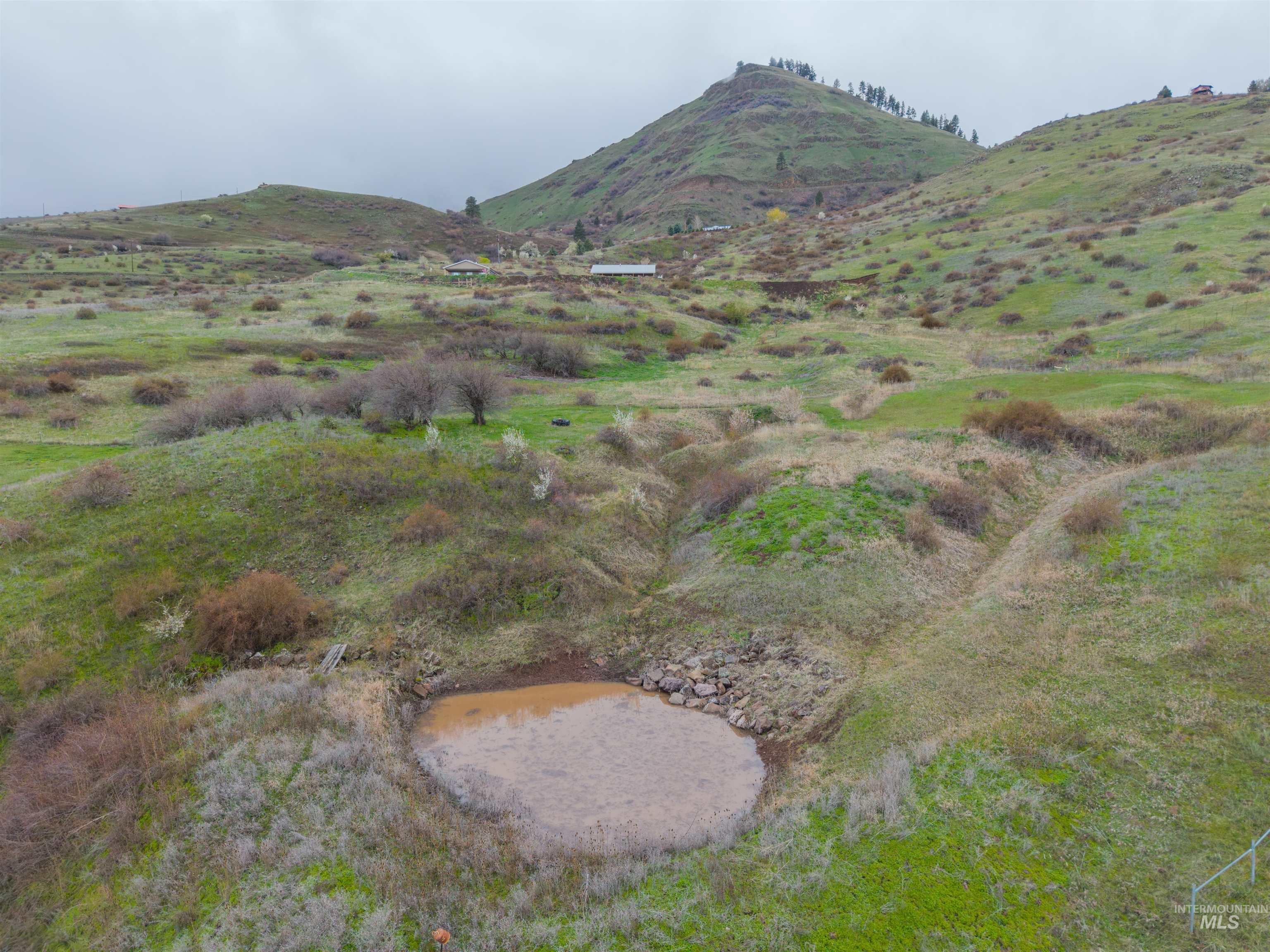915 Doumecq Road White Bird, ID 83554 - Photo 6 of 49 View of mountain background